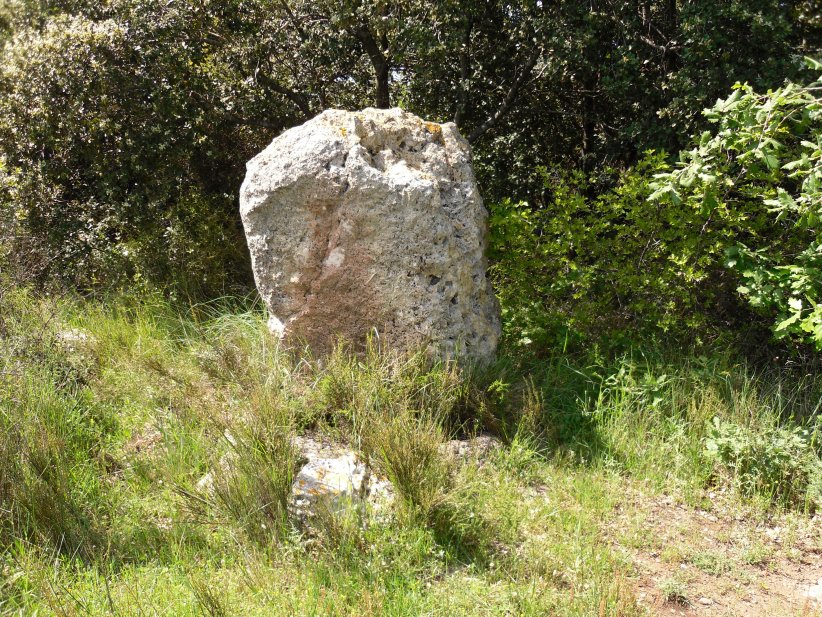 Menhir de Peyreficade