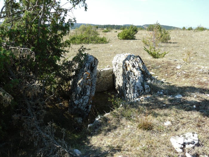 Click for the gallery page to add comments and vote (PID:83673) Fraissinel dolmen