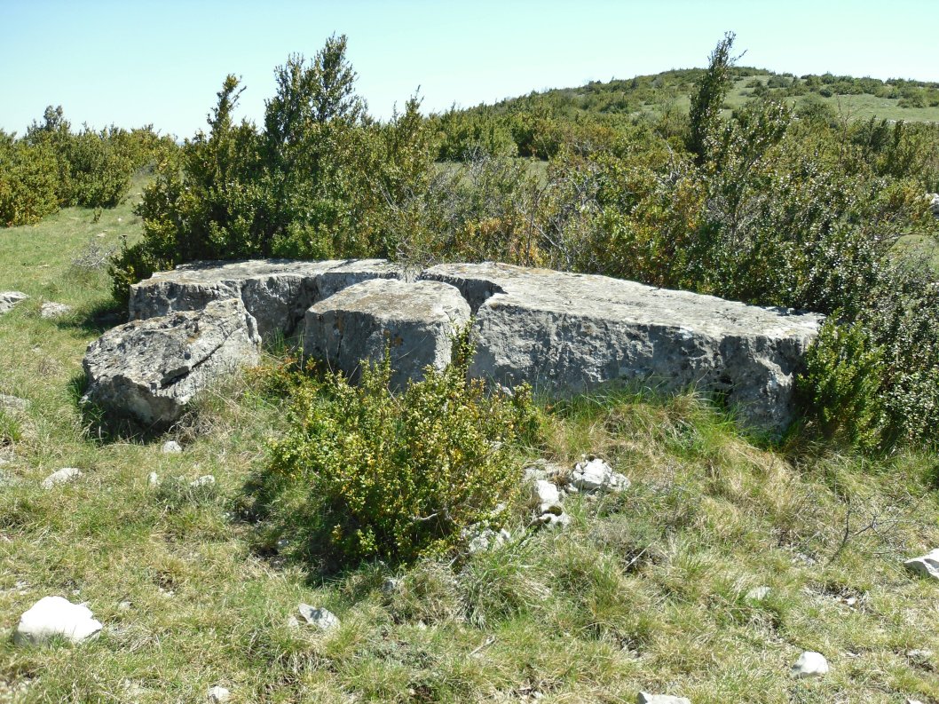 Click for full size image of Serre de la Tune menhir (PID:134276) Serre de la Tune menhir