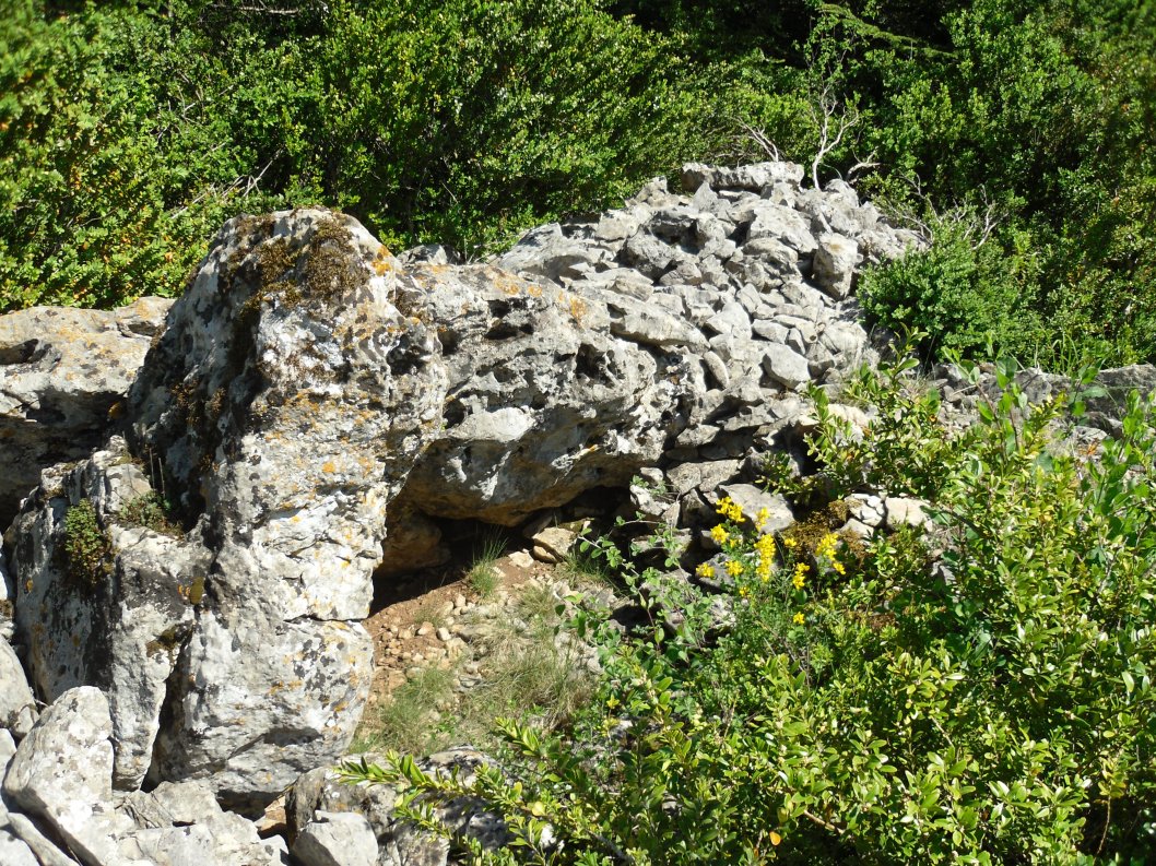 Click for the gallery page to add comments and vote (PID:134345) Dolmen Jasse de Canaguier
