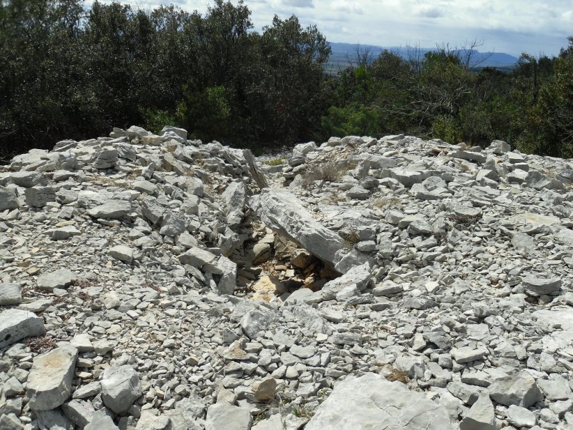 Dolmen du Grand Bois