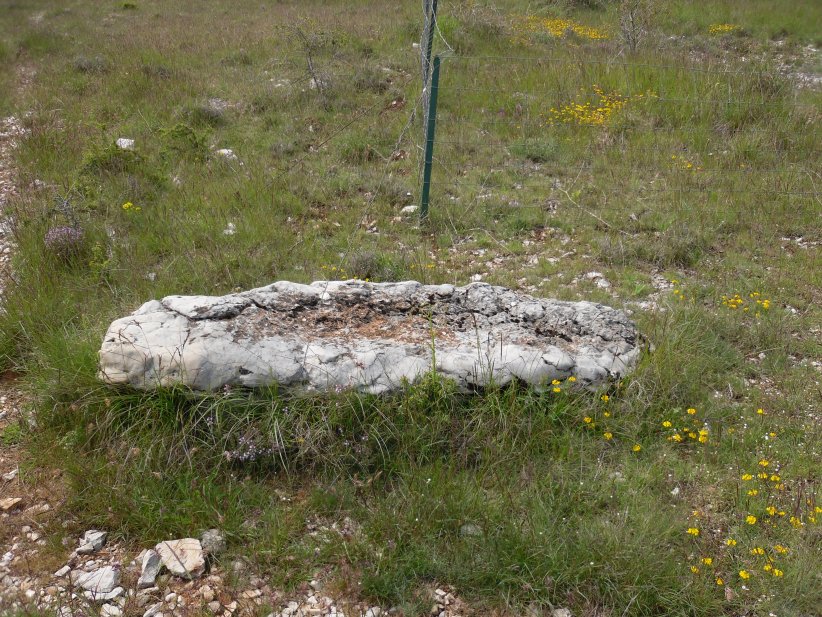 Menhir Plan de Ceisse 3