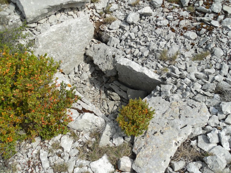 Dolmen du Viala 1