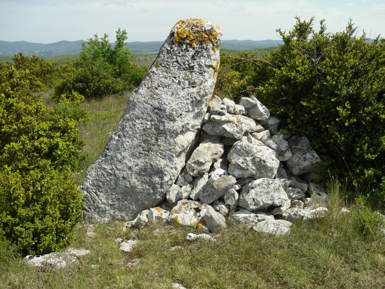 Click for the gallery page to add comments and vote (PID:109455) Roquenooze Menhir