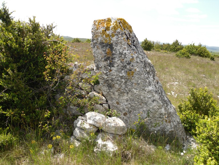 Click for the gallery page to add comments and vote (PID:109457) Roquenooze Menhir