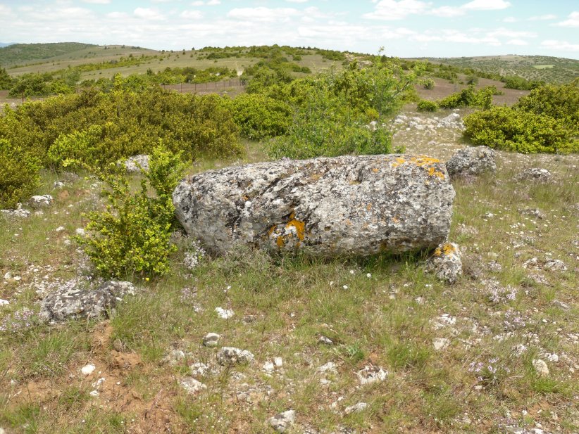Menhir du Pas de Pertus