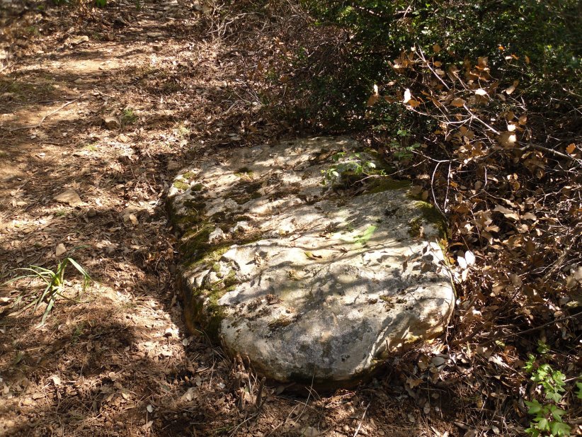 Menhir Côte d'Arboras