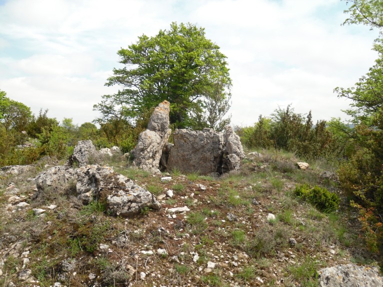 Dolmen des Rocquets