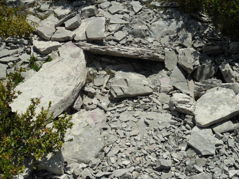 Click for the gallery page to add comments and vote (PID:90301) Dolmen du Signal de la Roque 2