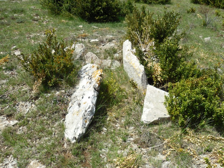 Click for the gallery page to add comments and vote (PID:90300) Dolmen du Signal de la Roque 1