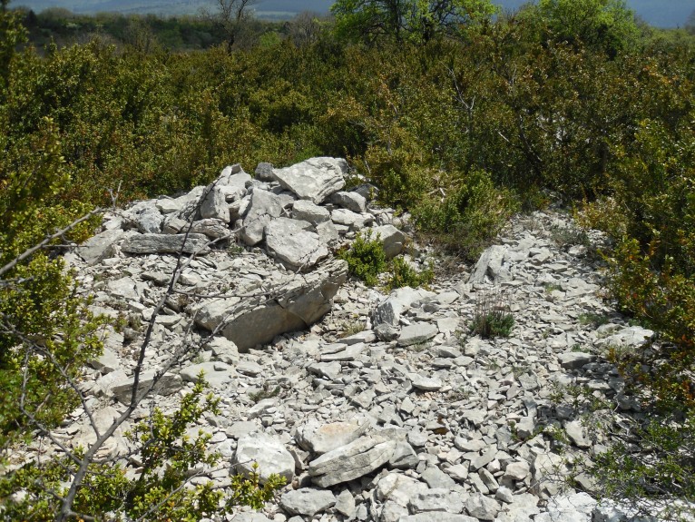 Click for the gallery page to add comments and vote (PID:90297) Dolmen du Nombril 6