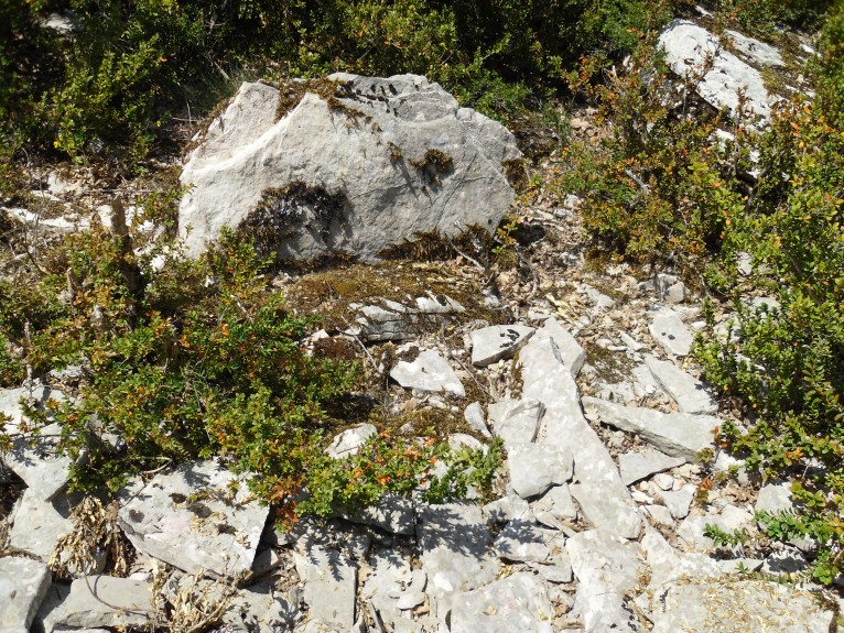 Click for the gallery page to add comments and vote (PID:90299) Dolmen du Nombril 9