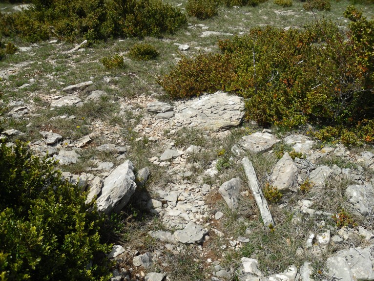 Click for the gallery page to add comments and vote (PID:90296) Dolmen du Nombril 4