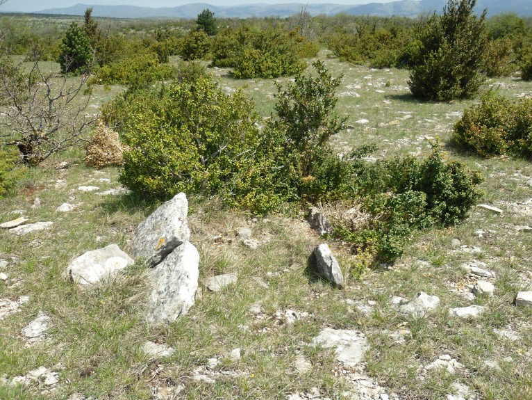 Dolmen du Nombril 2