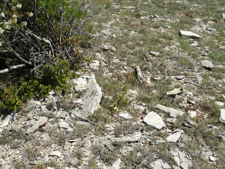 Click for the gallery page to add comments and vote (PID:90303) Dolmen du Signal de la Roque 4