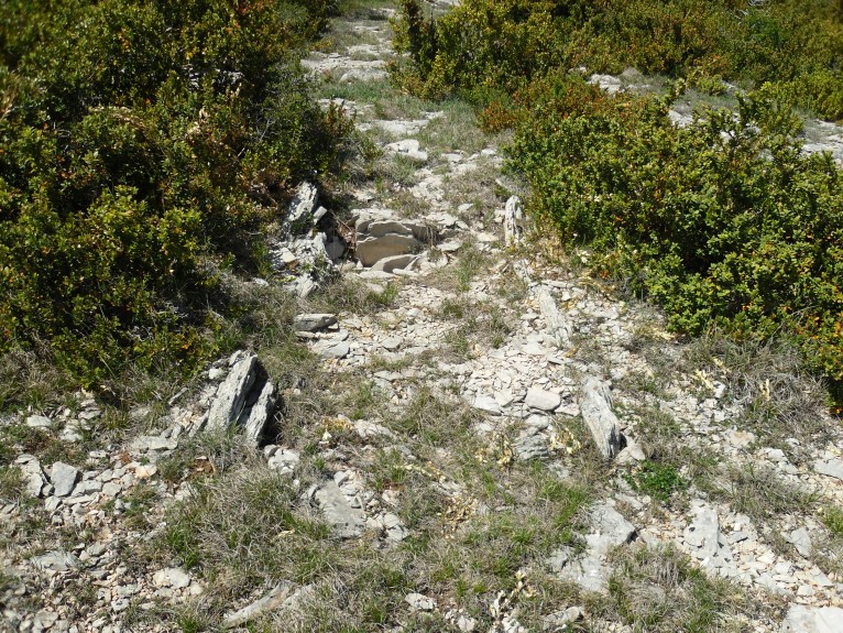 Click for the gallery page to add comments and vote (PID:90302) Dolmen du Signal de la Roque 3