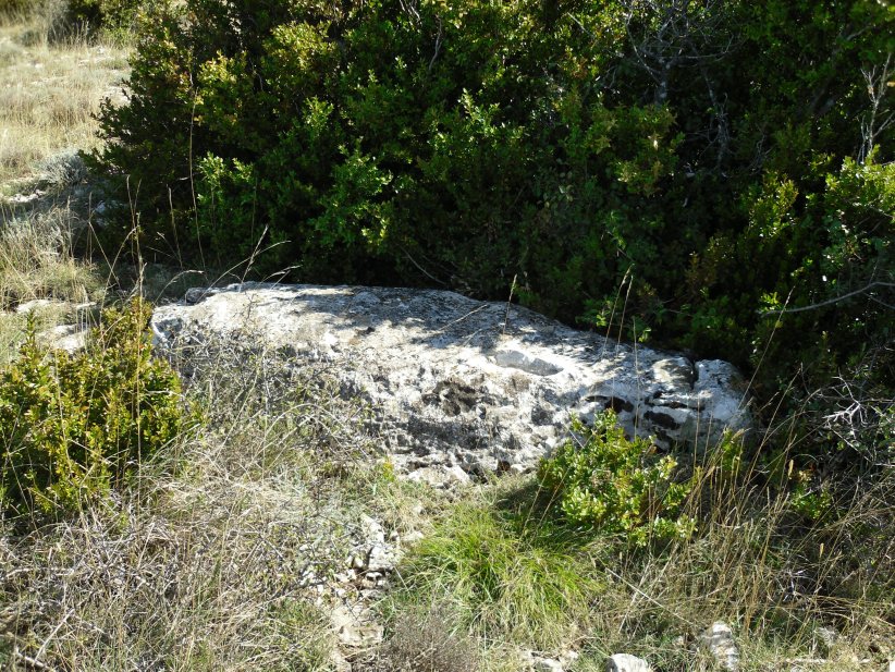 Menhir de Tibelet 2