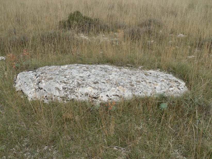 Menhirs de Campouillas