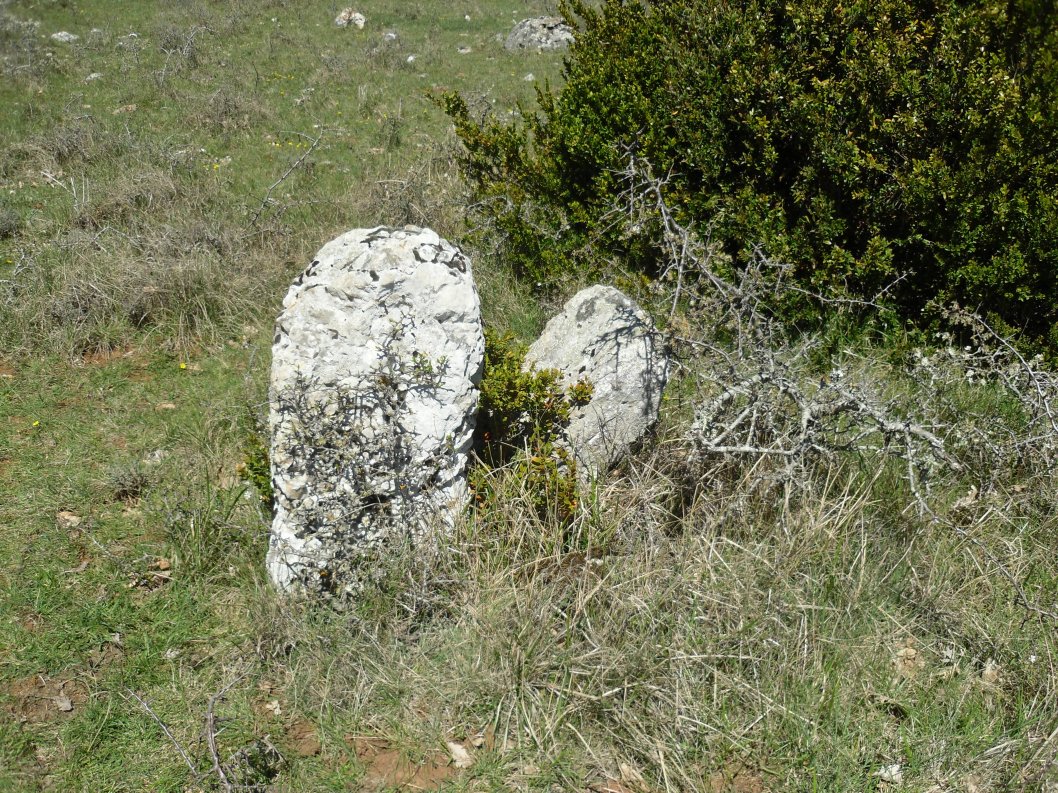 Click for the gallery page to add comments and vote (PID:151381) Menhir de la Prade 9