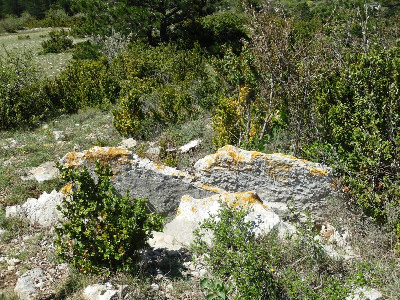 Dolmens de Moulenti