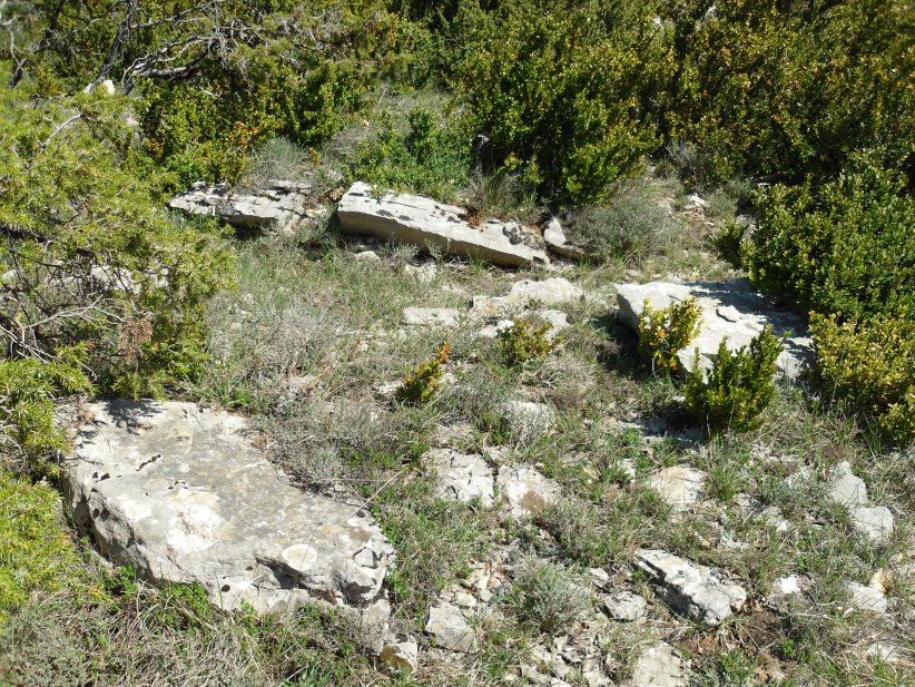 Click for the gallery page to add comments and vote (PID:121391) Dolmen de la Canourgue 2