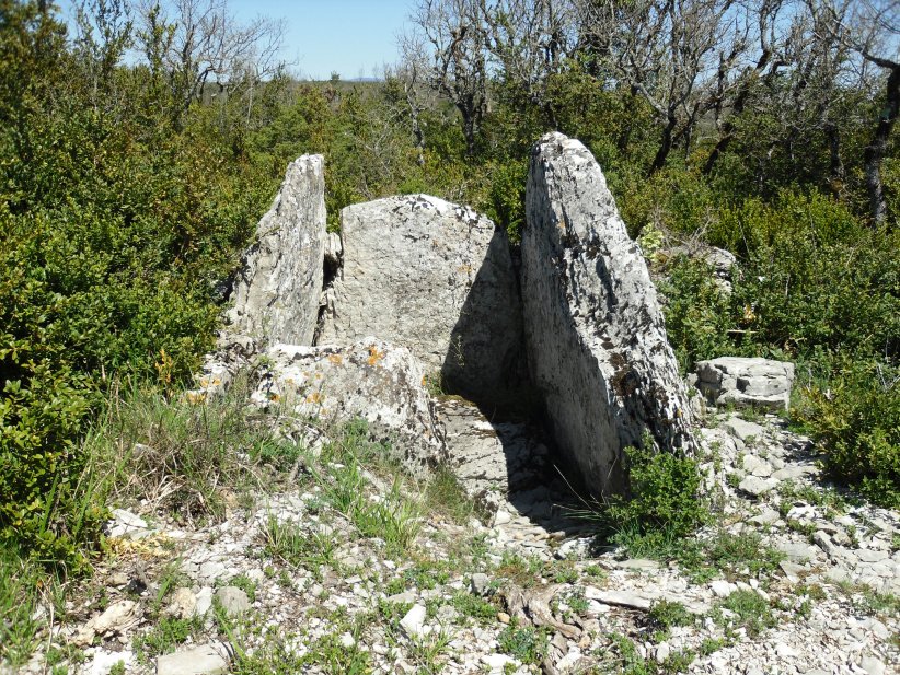 Click for the gallery page to add comments and vote (PID:121389) Dolmen de la Canourgue 1