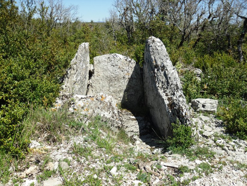 Dolmen de la Canourgue 1