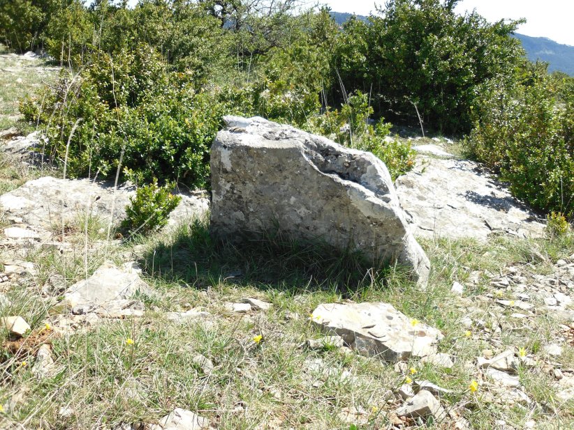 Menhir de la Roque 1