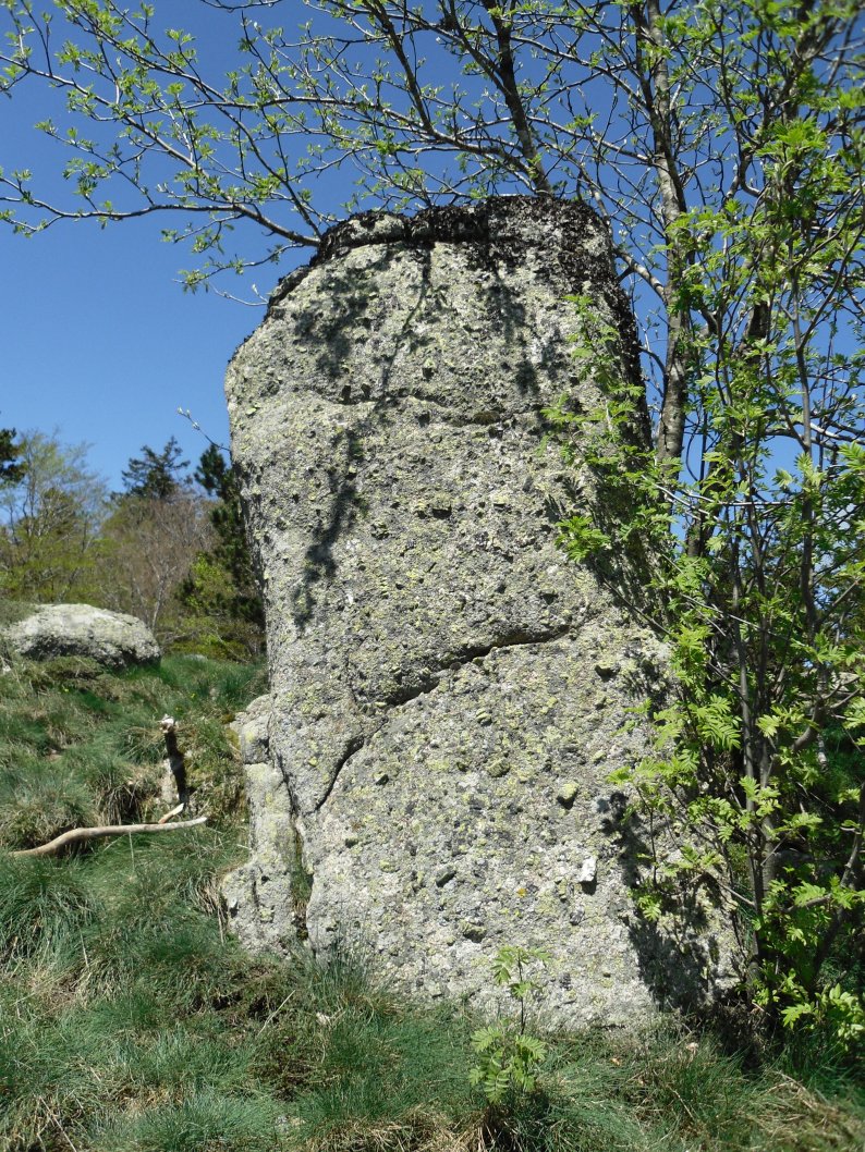 Pèlerins menhir