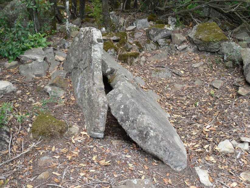 Click for the gallery page to add comments and vote (PID:121774) Dolmen de Gournaouchou