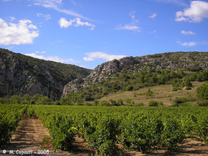 La Caune de l'Arago