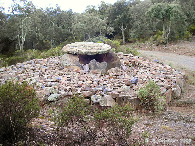 Dolmen de la Creu de Falibe