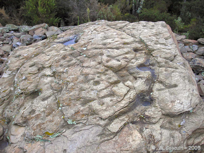 The capstone is heavily carved, and has many cupules, lines and crosses engraved into the top. The crosses are made by joining between 4 small cupules. Some of the cupules are quite large, up to 10 cm in diameter, and these larger cupules are linked together with larger engraved lines, making a sort of fish shape around the capstone. 