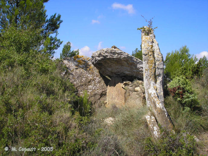 The chamber itself is quite large, but a bit of a wreck these days. It looks to be a sort of V shaped chamber 6 metres in length and up to 3 metres wide

It is open to the east at about 118°, which looks right along the valley below the ridge. 