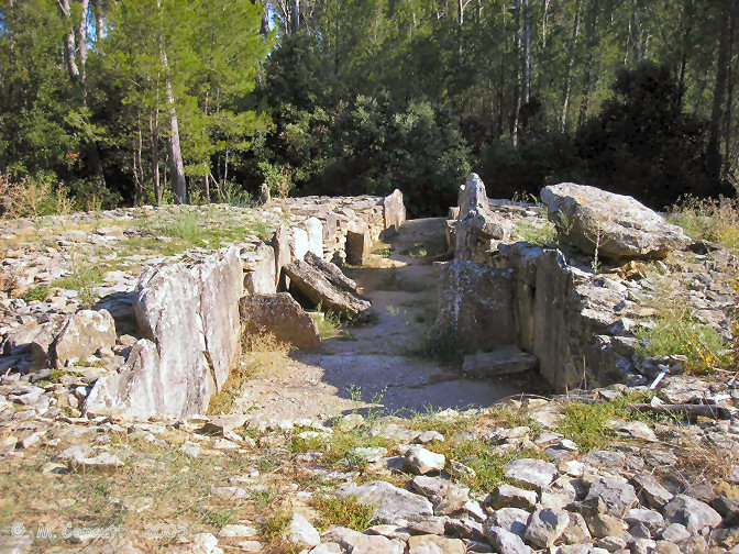 Within the cairn is the remains of a massive partitioned chamber 15 metres long, lined with large slabs, and which opens to the southeast at 155°. 

The remnants of two stone partitions with the remains of portal entranceways can be seen, but these are very damaged.