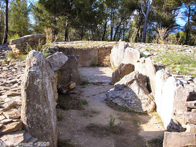 The chamber is 15 metres long, lined with large slabs, and opens to the southeast at 155°. At the back end it is 4 metres wide, and has the remnants of two stone partitions within which the remains of portal entranceways can be seen, rather like the nearby Morrel das Fadas. 

Unfortunately there are no cover stones, and the entrance portals are very damaged, to the extent of being almost non ex
