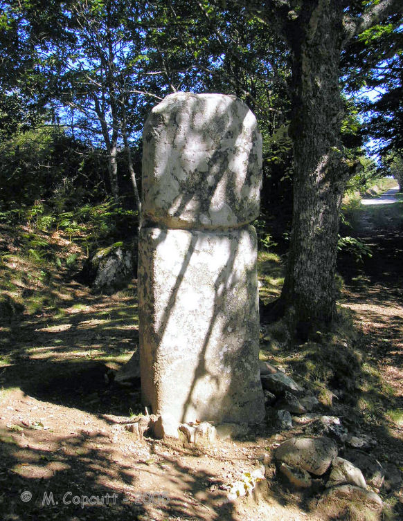 Statue menhir de Picarel