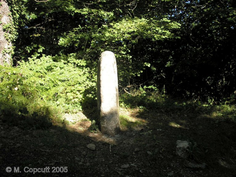 Statue menhir de Cambayssy