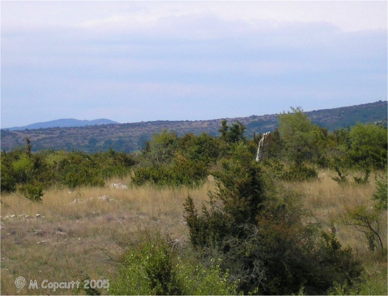 Menhir de Landre 1