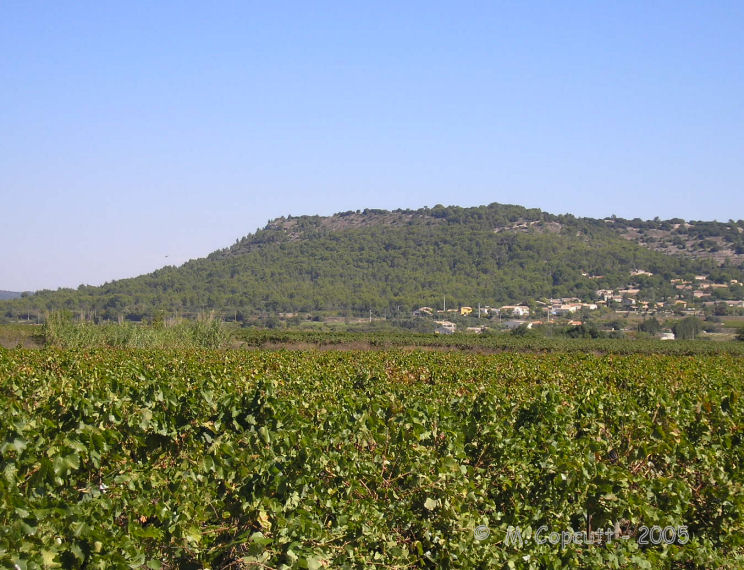 Click for the gallery page to add comments and vote (PID:38327) Oppidum de Nages