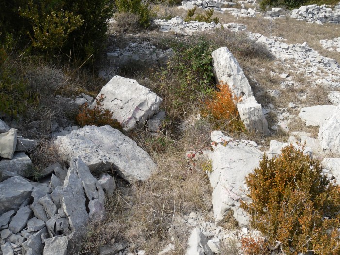 Click for the gallery page to add comments and vote (PID:84773) Dolmen du Sotch de Gardie