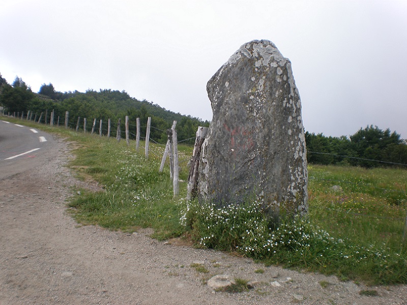 Click for the gallery page to add comments and vote (PID:182306) Trespalous menhir 1