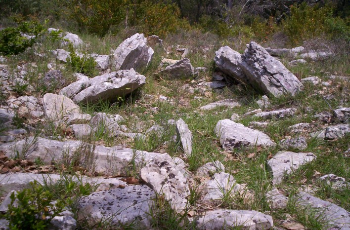 Click for the gallery page to add comments and vote (PID:77889) Dolmen de la Matte 1