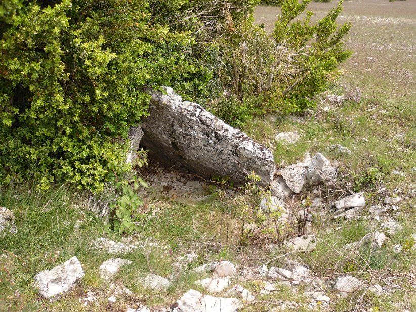 Click for the gallery page to add comments and vote (PID:129938) Dolmen de Latude 1