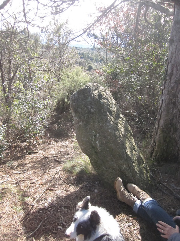 Standing Stone (Menhir) in Languedoc:Aude (11) France