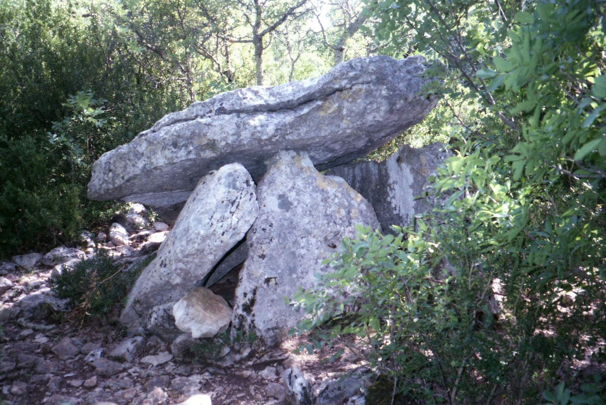 Click for the gallery page to add comments and vote (PID:209856) Dolmen dit La Maison des Fées (Méjannes-le-Clap)
