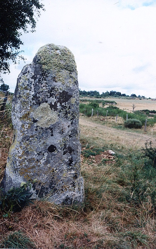 Click for the gallery page to add comments and vote (PID:41300) Menhir de Cheyroux
