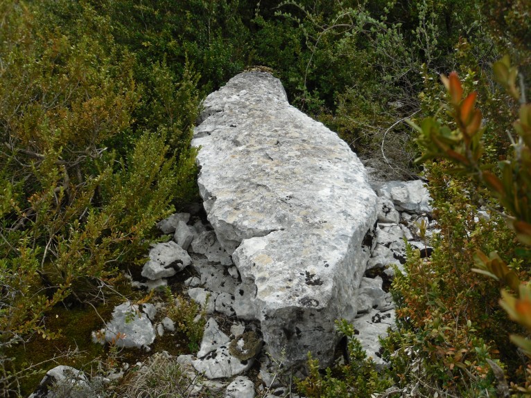 Vernède menhir 3