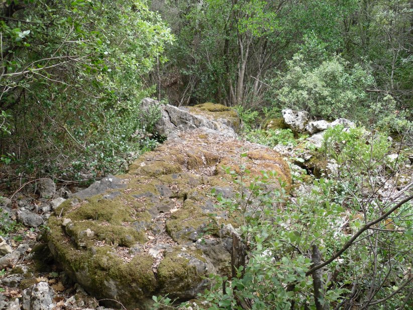 Menhir de Devezasses