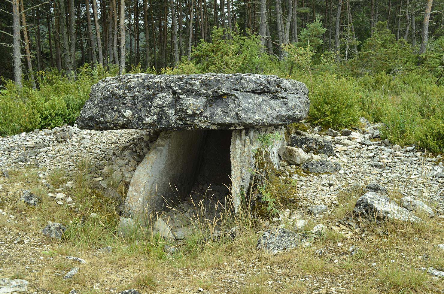 Dolmen de la Baume (Sainte-Enimie)